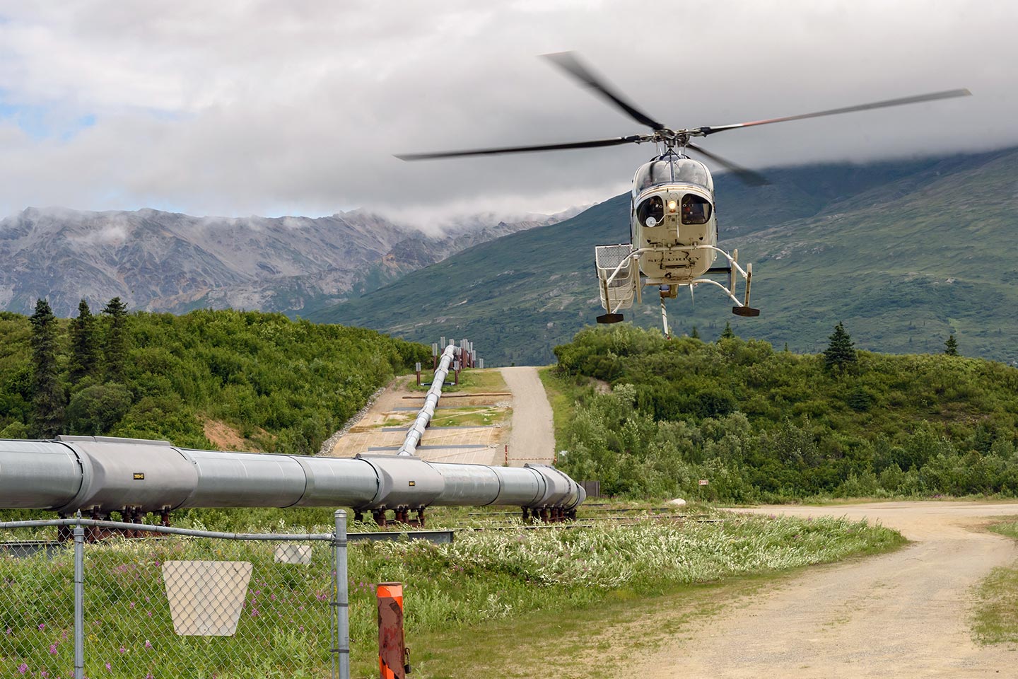 Pipeline Surveys in Montana
